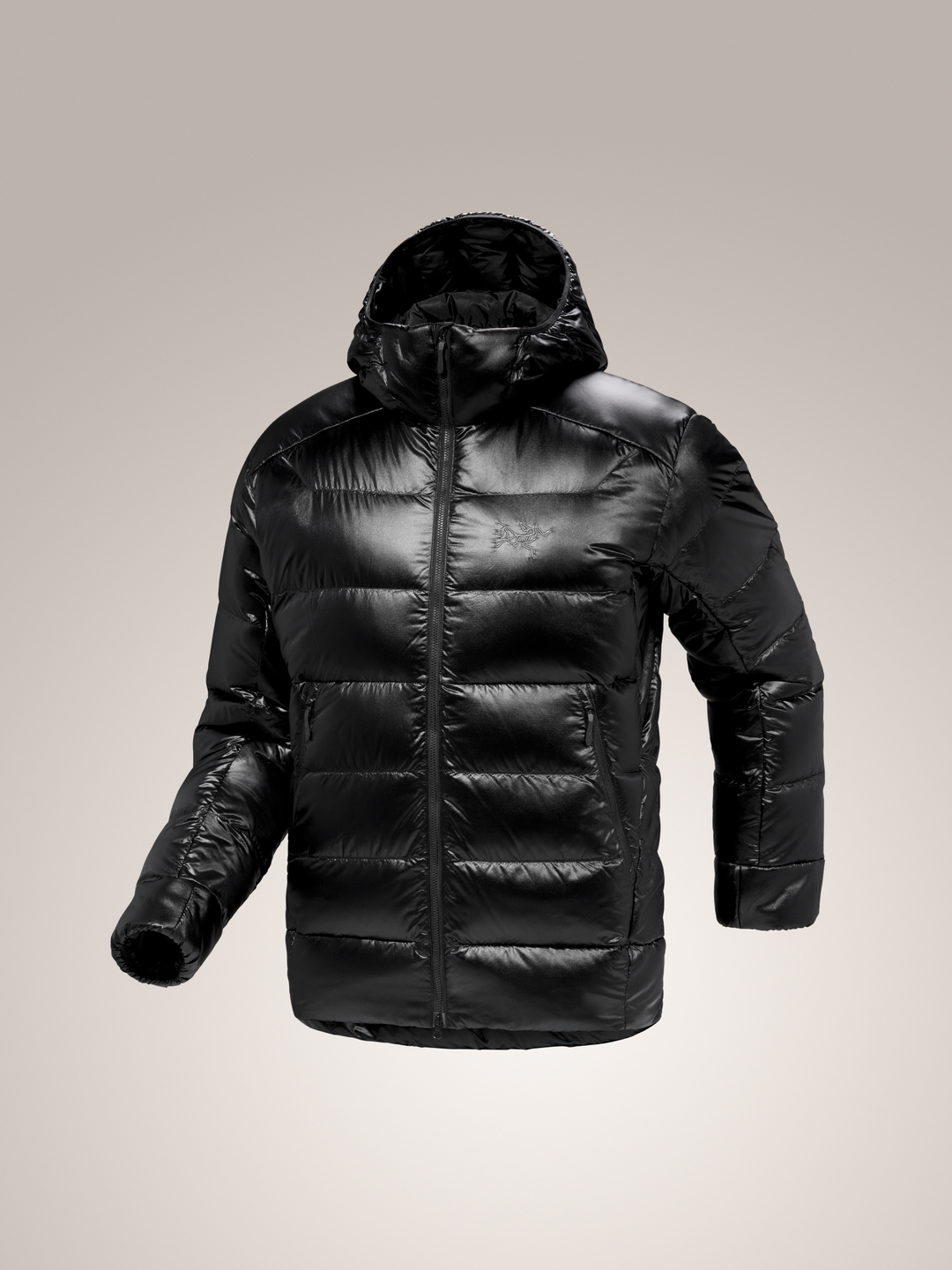 Arc'teryx-Cerium SV Hoody Men's S25-Clothing-Small-Black-