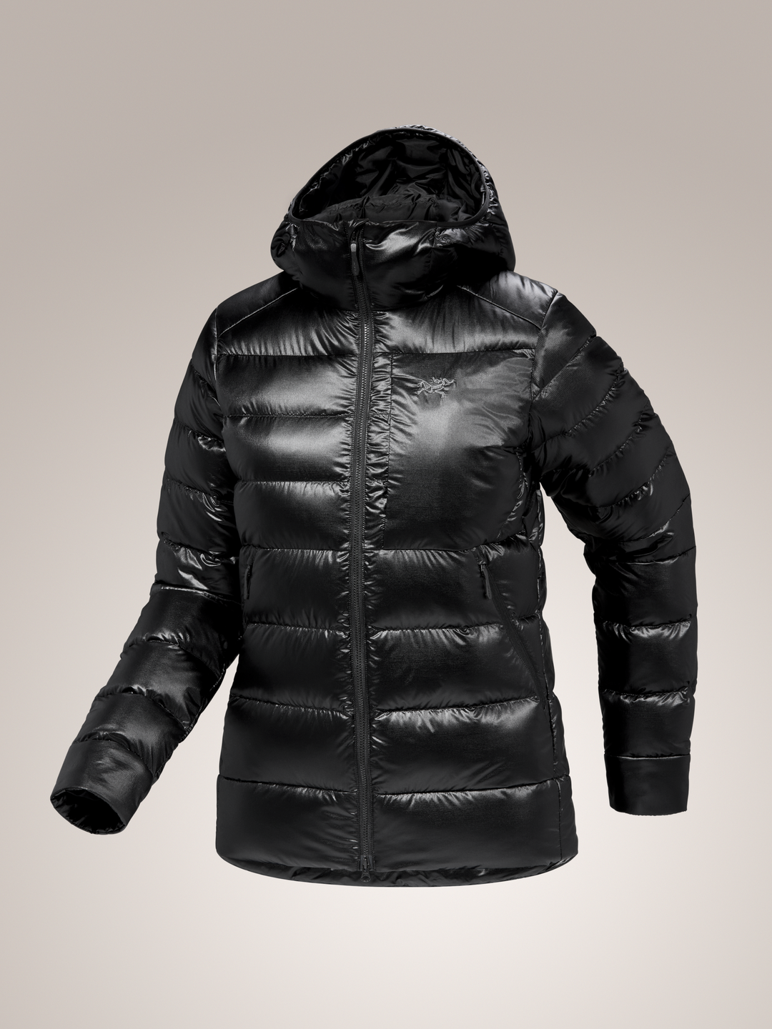 Arc'teryx-Cerium SV Hoody Women's-Clothing-X-Small-Black-