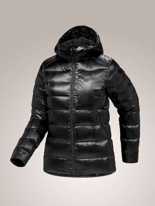 Arc'teryx-Cerium SV Hoody Women's-Clothing-X-Small-Black-