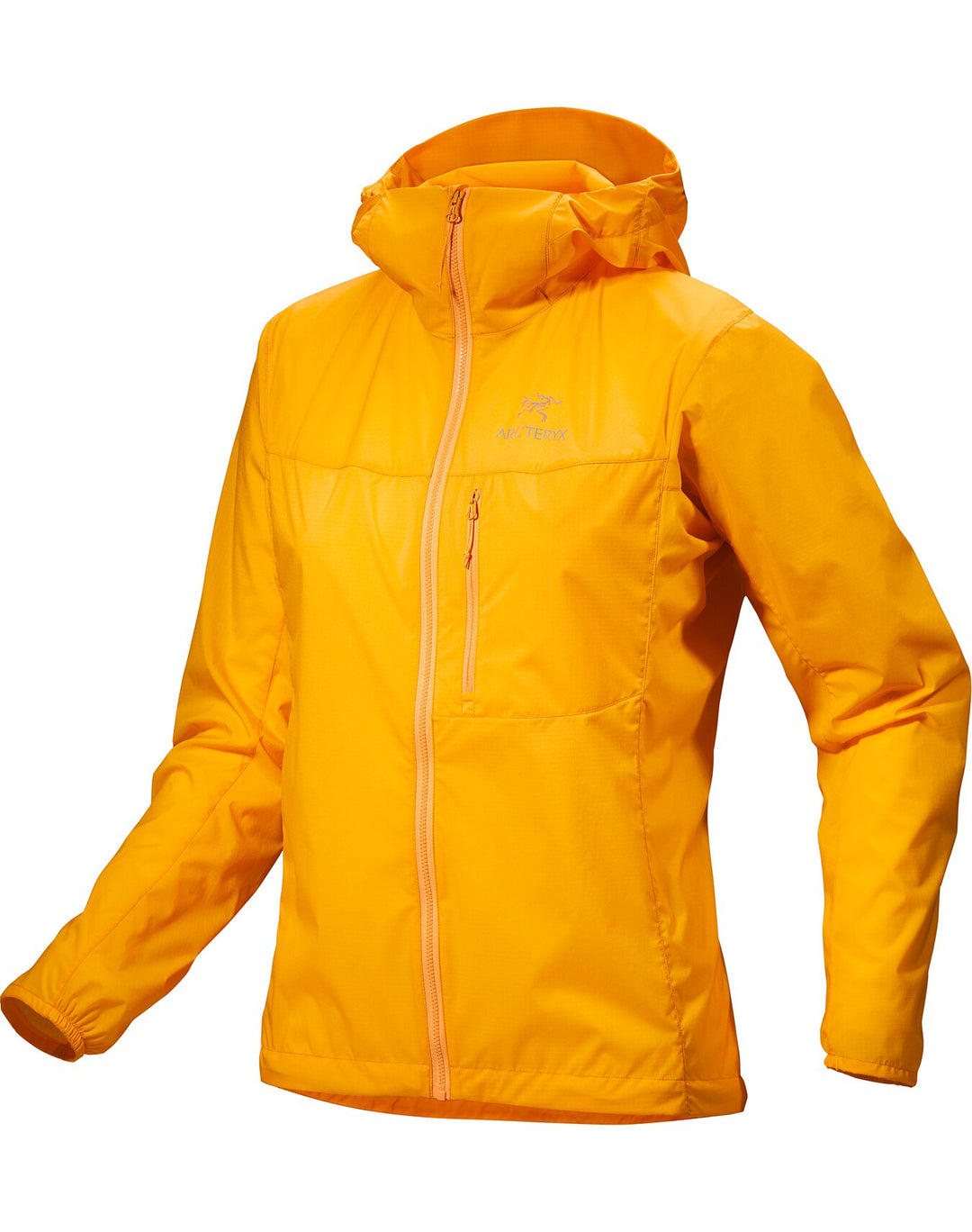Arc'teryx-Squamish Hoody Women's-Clothing-X-Small-Edziza-