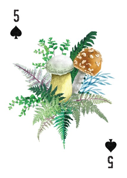 Mountaineers Freedom of the Hills Card Deck 5 of Spades detail