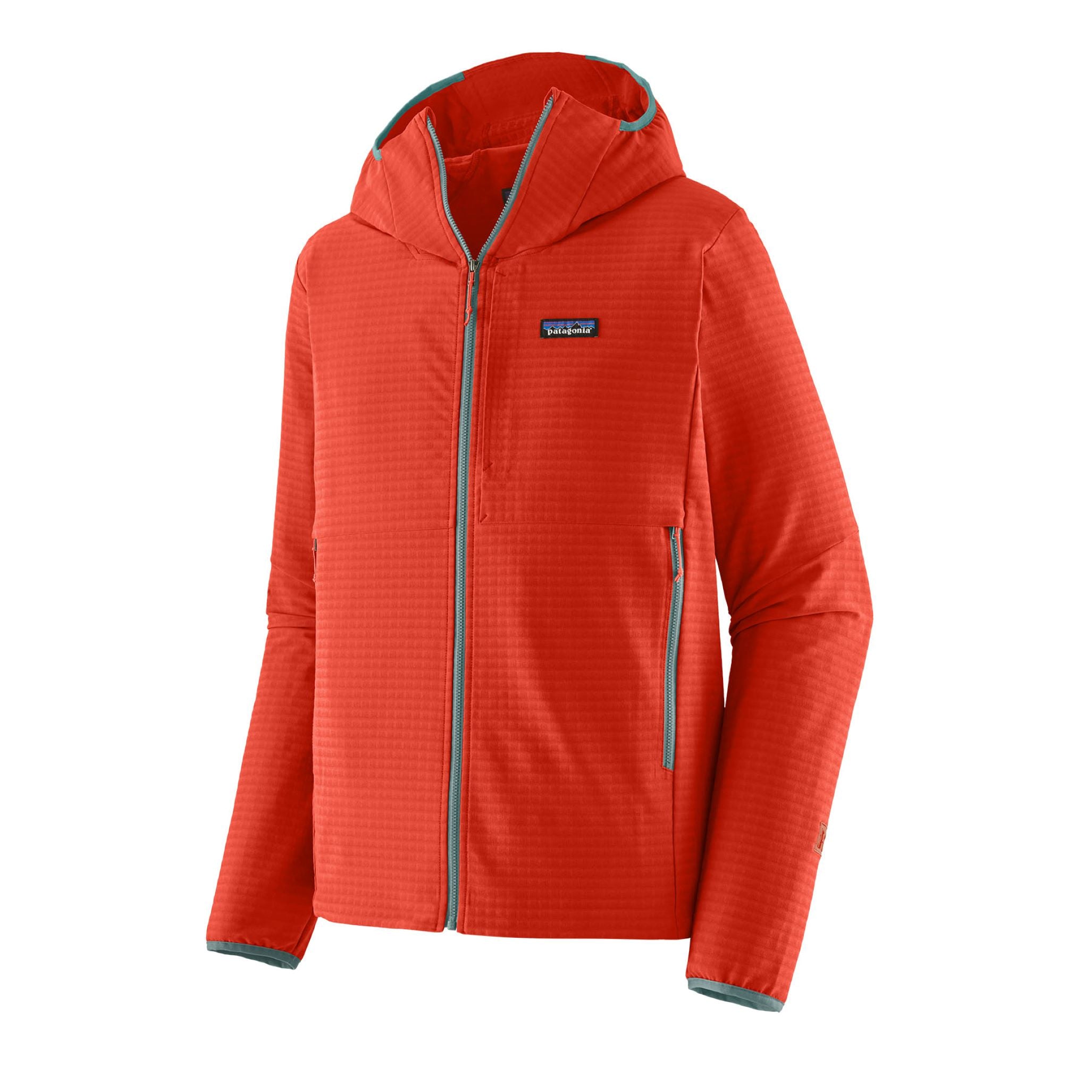 patagonia tech fleece hoody