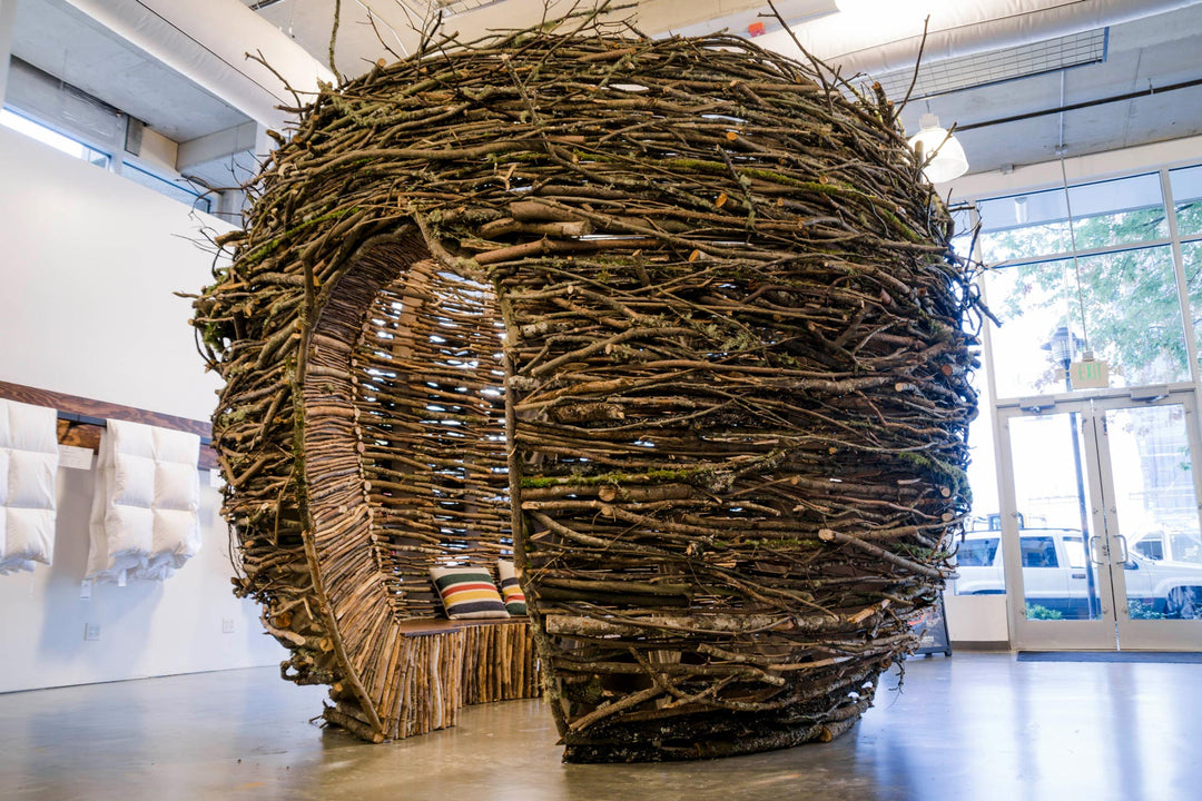 A New Roost: Feathered Friends Is Moving