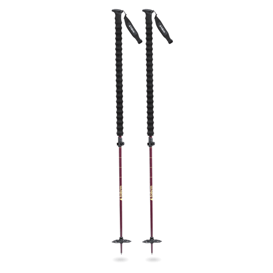 Pahto Ski Poles
