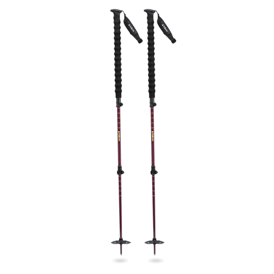 Tahoma Splitboard Poles