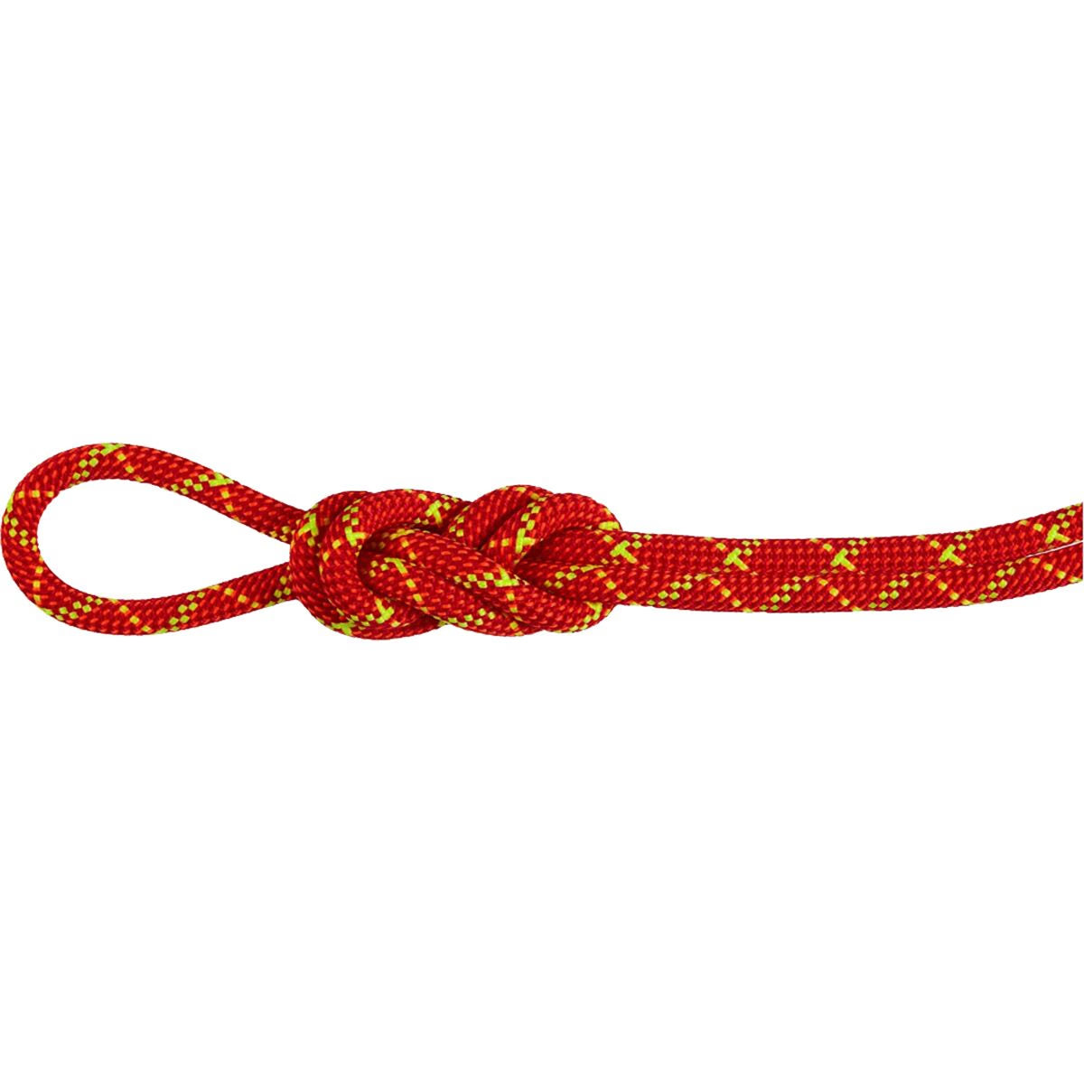 Mammut-8.0 Alpine Core Protect Dry Rope-Climbing Ropes