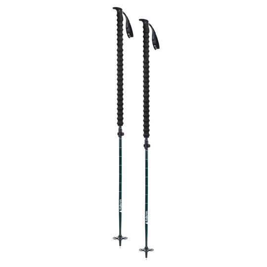 Pahto Ski Poles