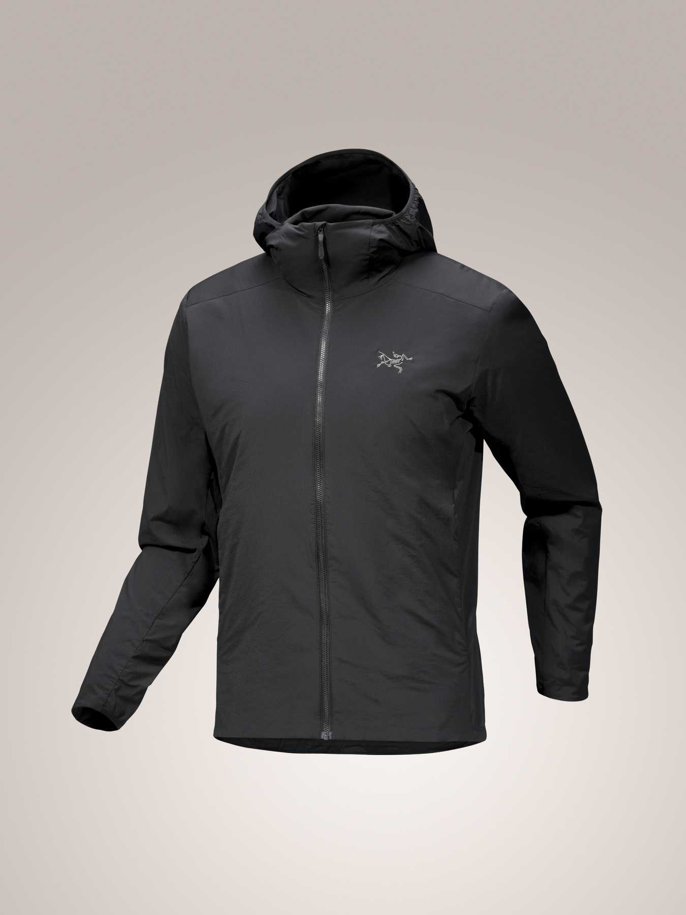 ジャケット・アウター ARC'TERYX Atom SL Hoody Mens Microchip arcteryx-atom-sl-hoody-mens-
