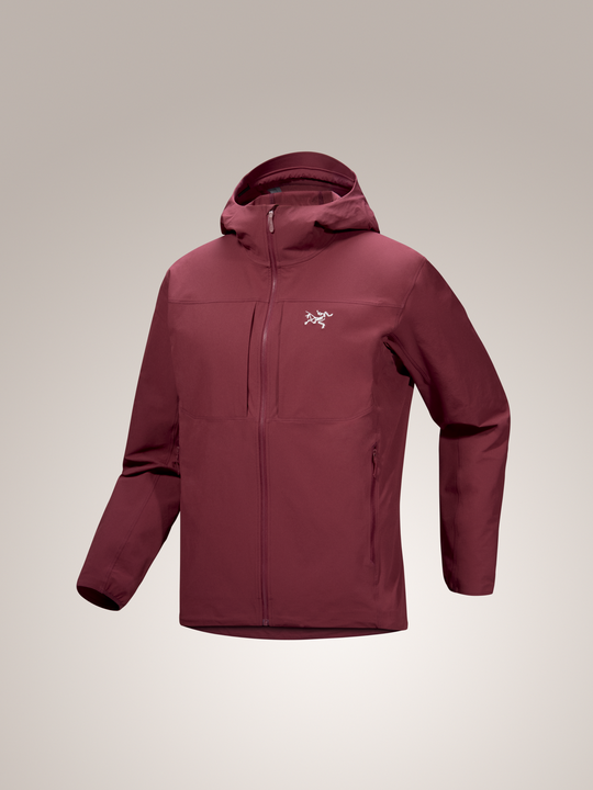 Gamma Hoody Men's F25
