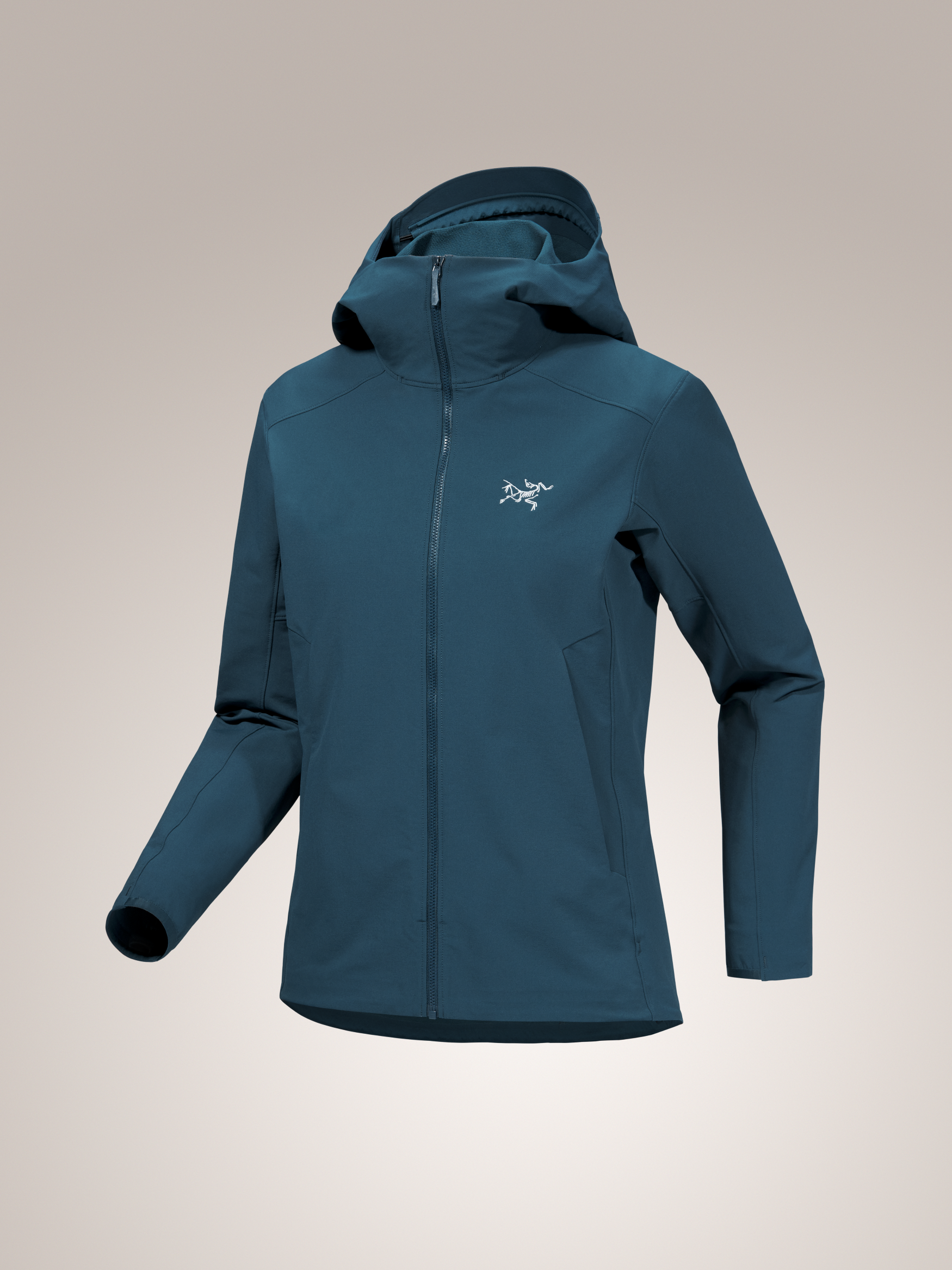 Arc'teryx-Gamma Hoody Women's-Clothing-X-Small-Nightscape-