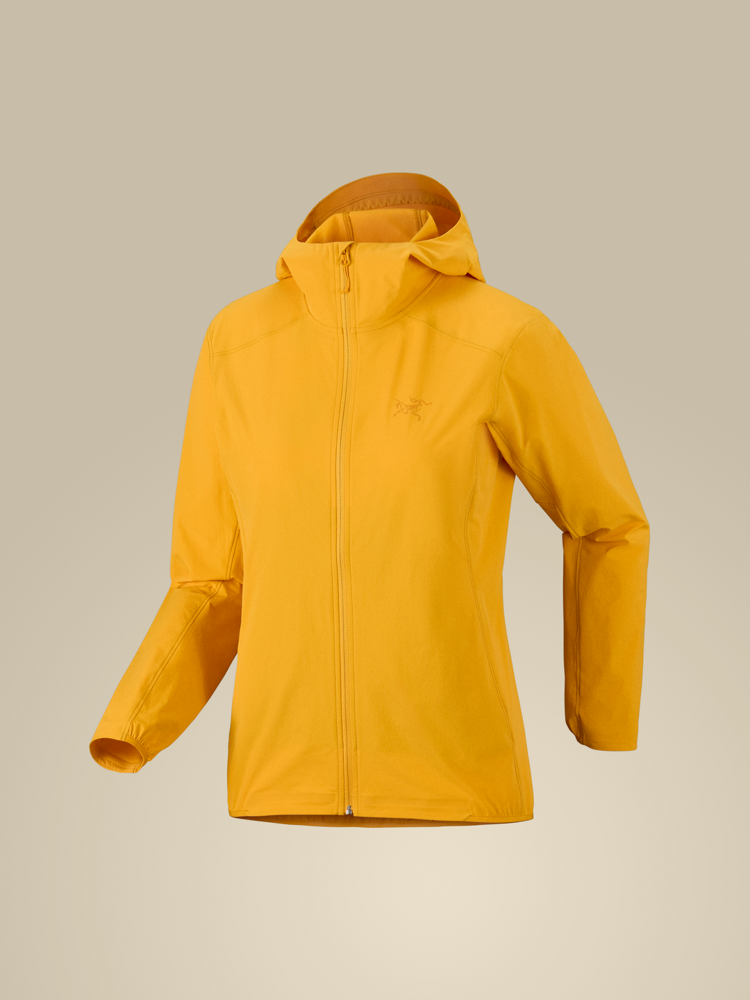 Gamma Lightweight Hoody Women's-Arc'teryx-X-Small-Larch-Clothing-Feathered Friends