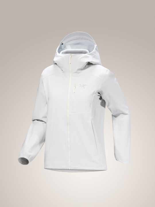 Arc'teryx-Gamma MX Hoody Women's-Clothing-X-Small-Arctic Silk-
