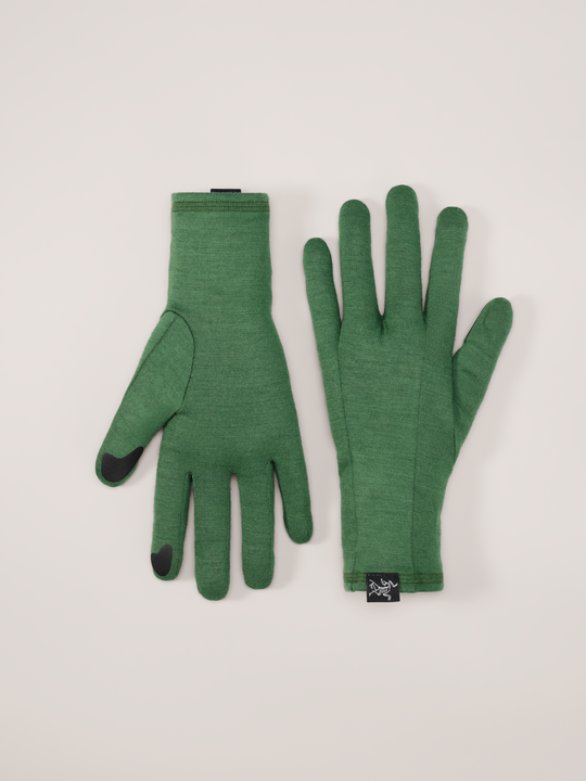 Arcteryx gothic glove best sale