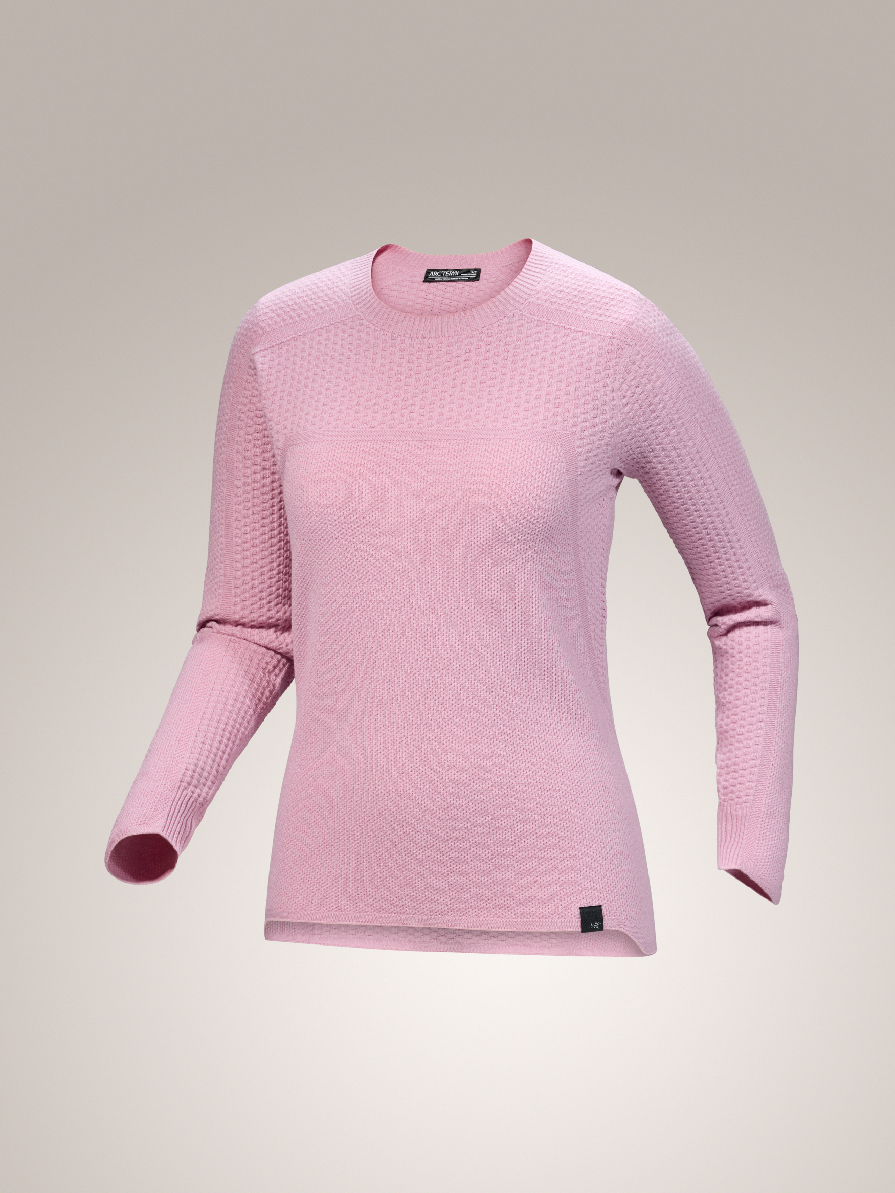 Arc'teryx-Hallam Merino Wool Crew Women's-Clothing-X-Small-Feathered Friends