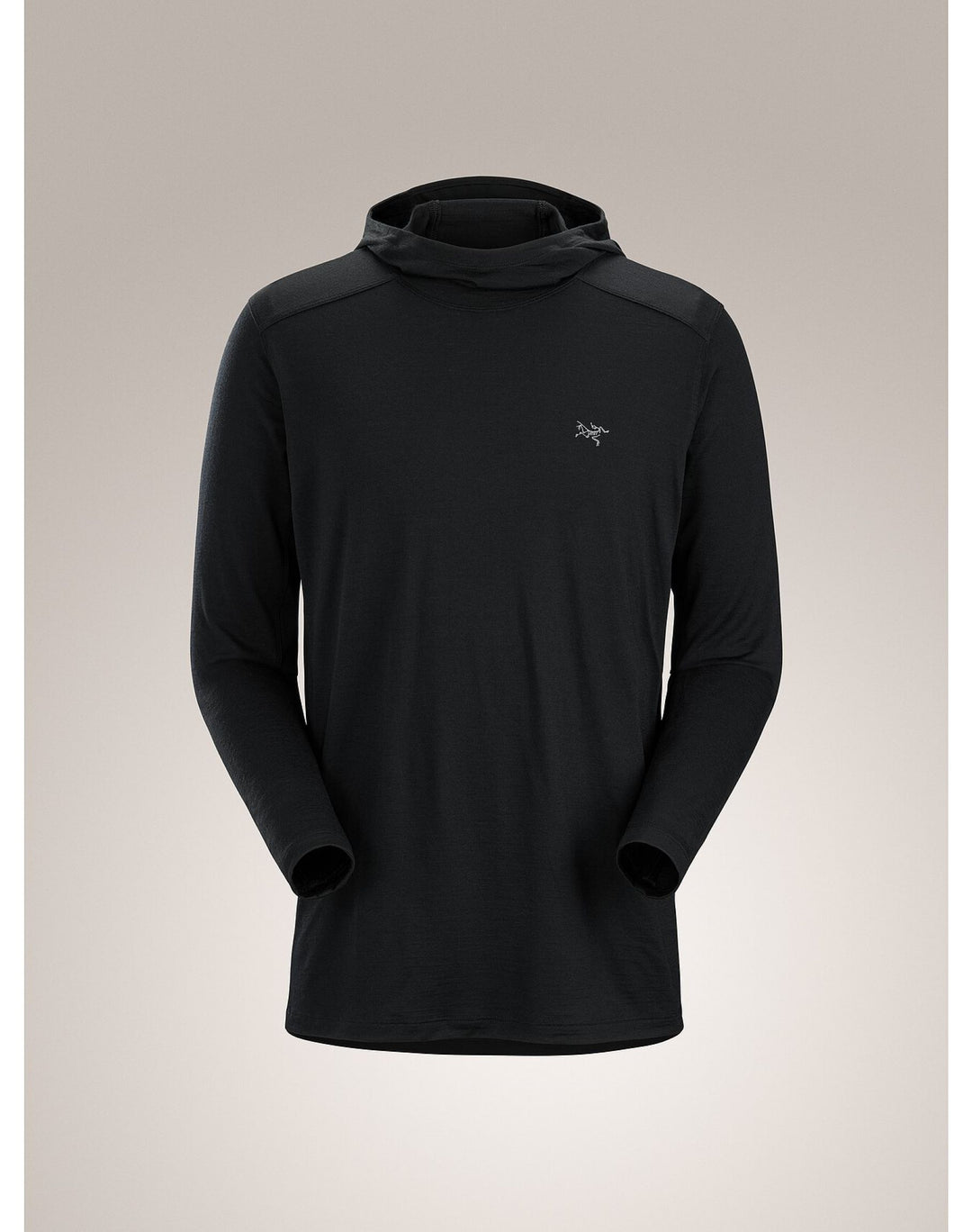 Arc'teryx-Ionia Merino Wool Hoody Men's-Clothing-Small-Black-
