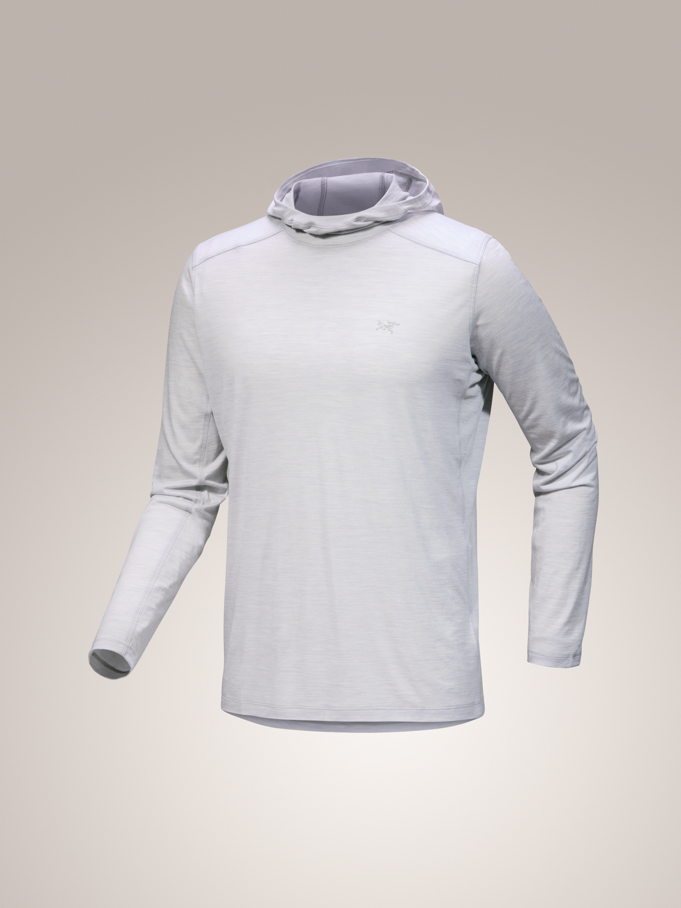 Ionia Merino Wool Hoody Men's