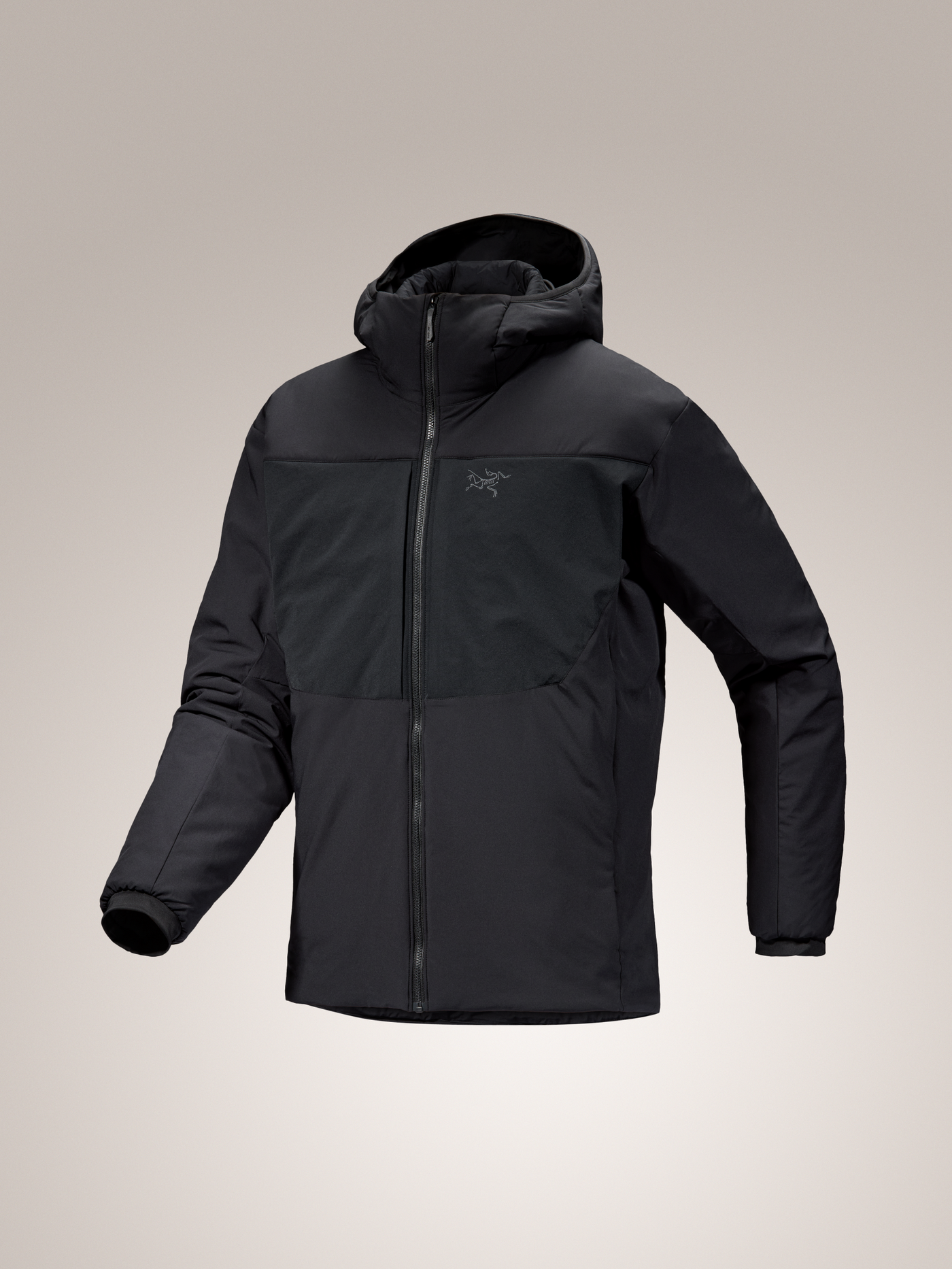 Proton Heavyweight Hoody Men's