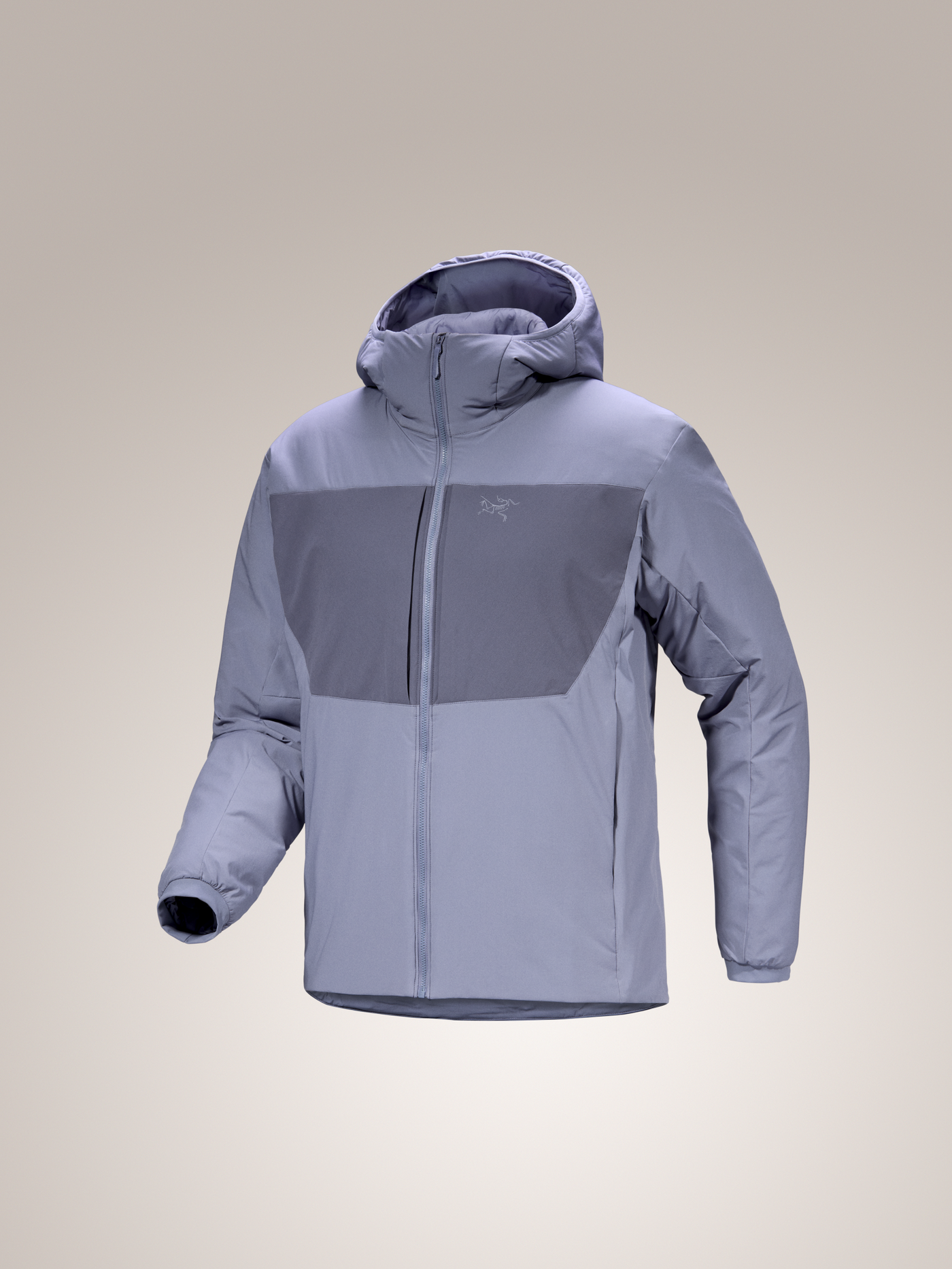 Proton Heavyweight Hoody Men's