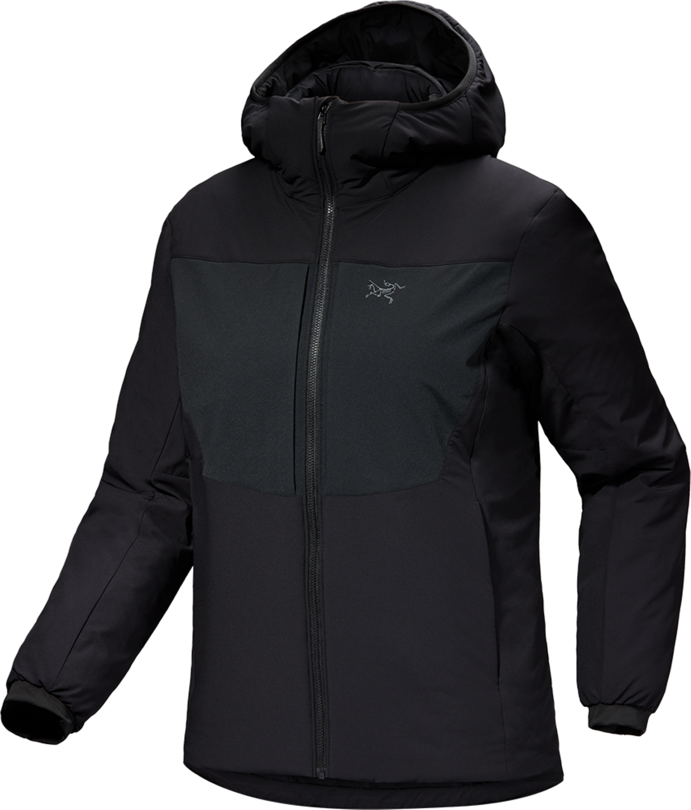 Proton lt hoody arcteryx sale
