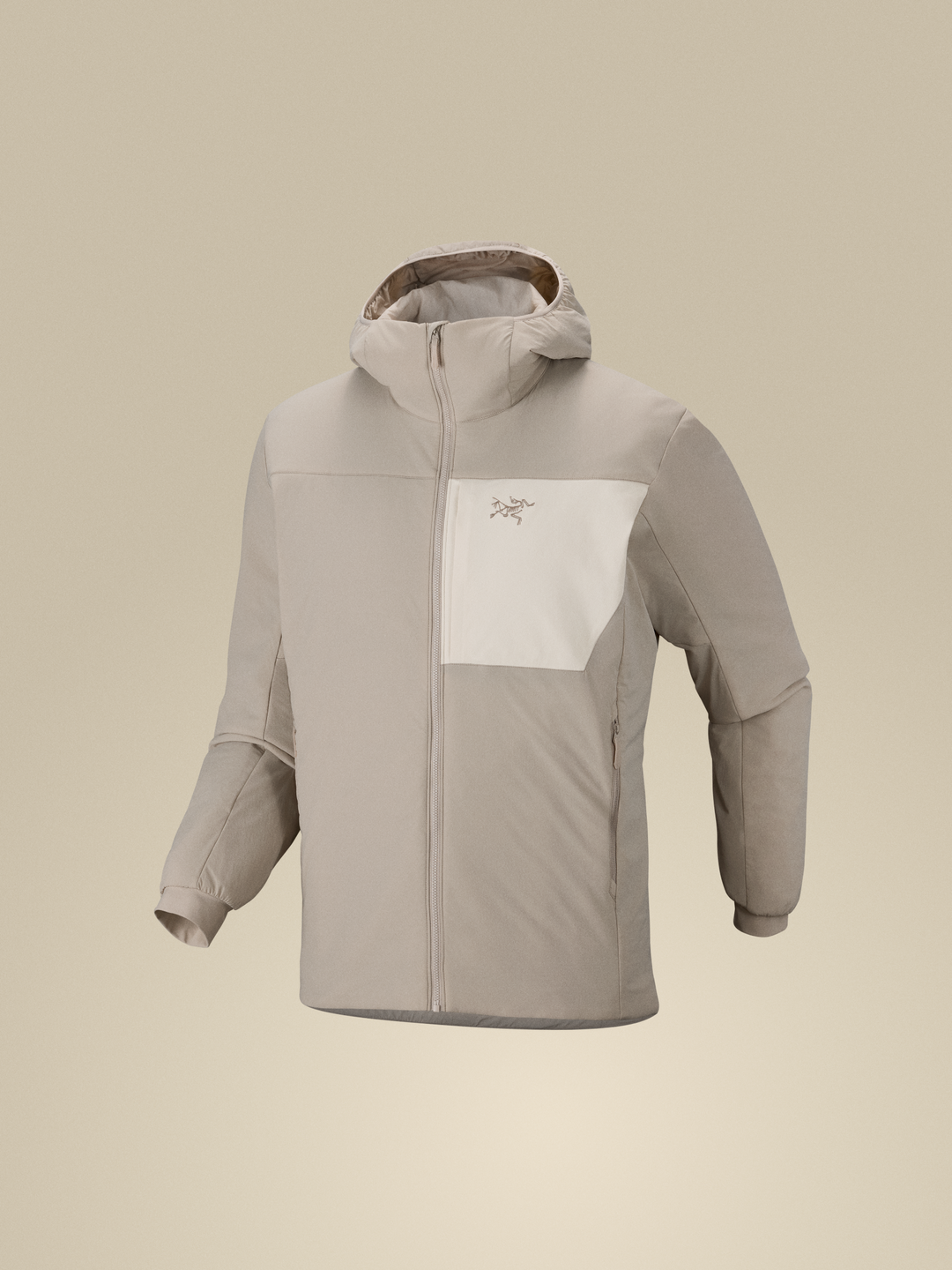 Proton Hoody Men's