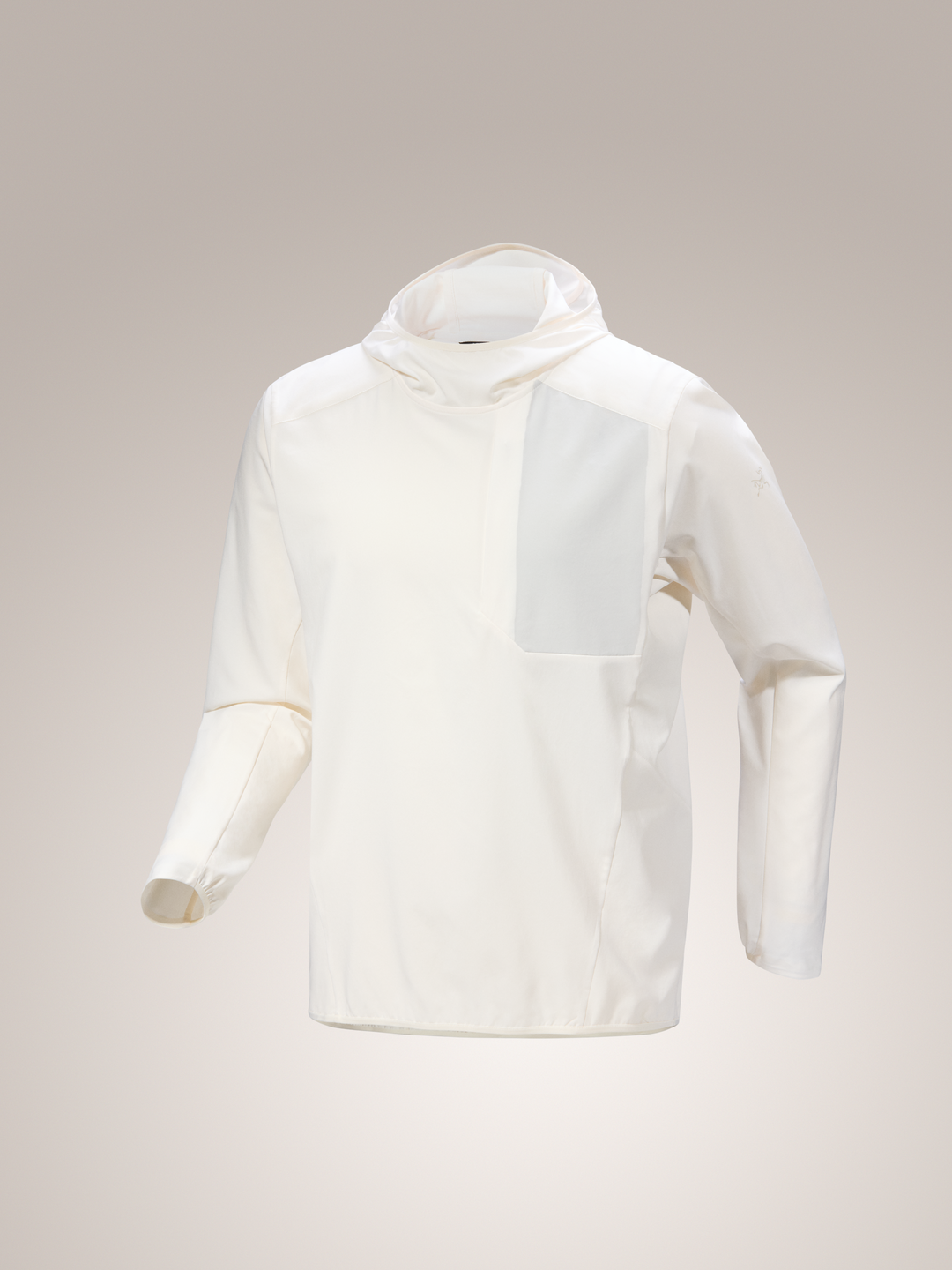 Arc'teryx-Sima Pullover Hoody Men's-Clothing-Small-Arctic Silk-