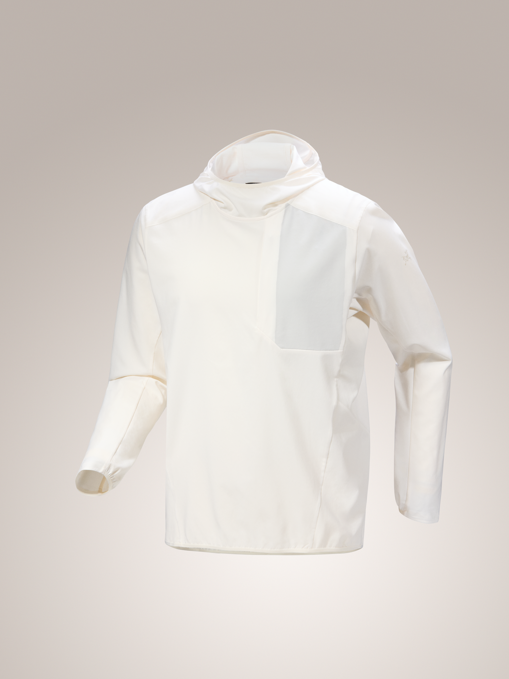 Arc'teryx-Sima Pullover Hoody Men's-Clothing-Small-Arctic Silk-