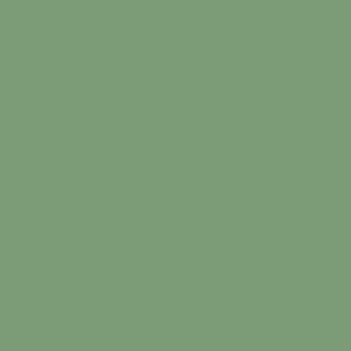 Solid green color swatch