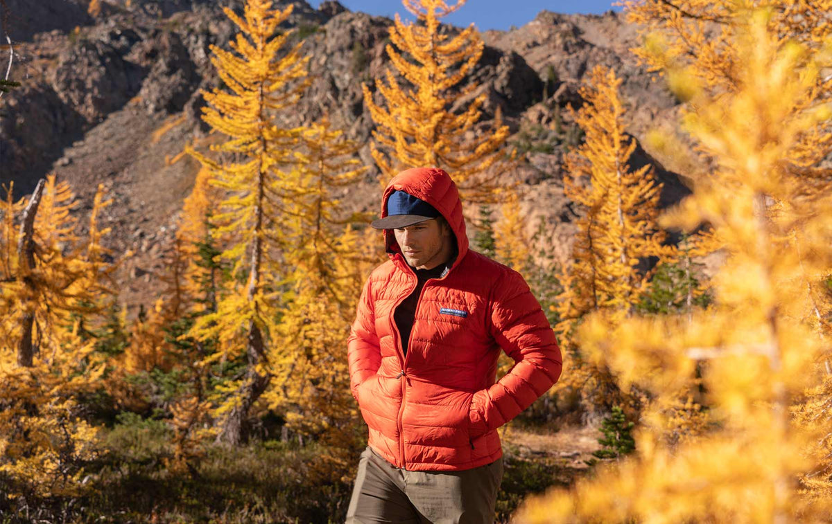 A hiker wearing an orange hooded Eos down jacket among golden larch trees