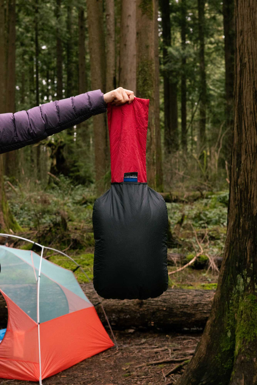goosefeet gear down pillow Geoduck Travel Pillow