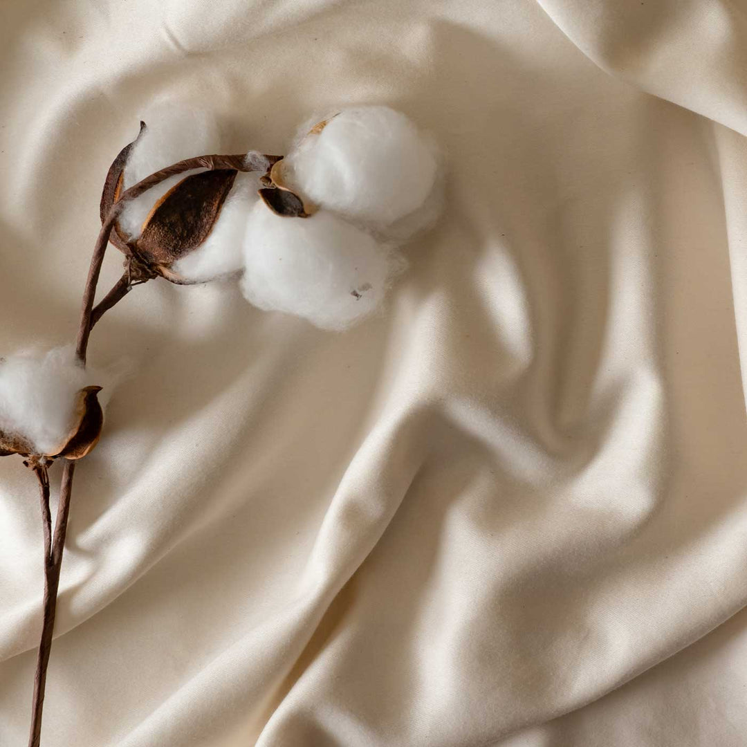 Feathered Friends organic cotton sheet detail with cotton plant on top