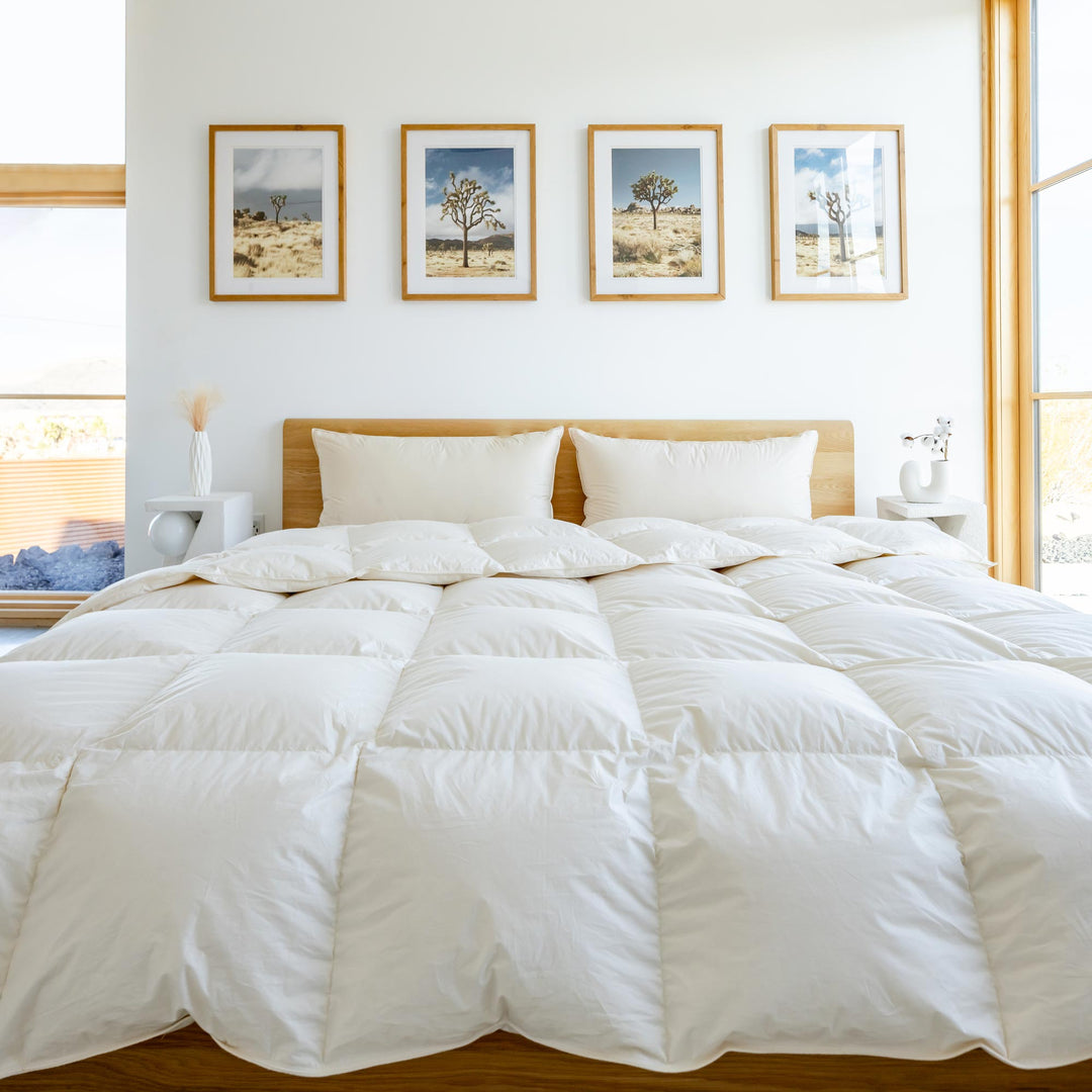 A king-size Feathered Friends Organic Bavarian Down Comforter on a bed in a bright bedroom in the desert