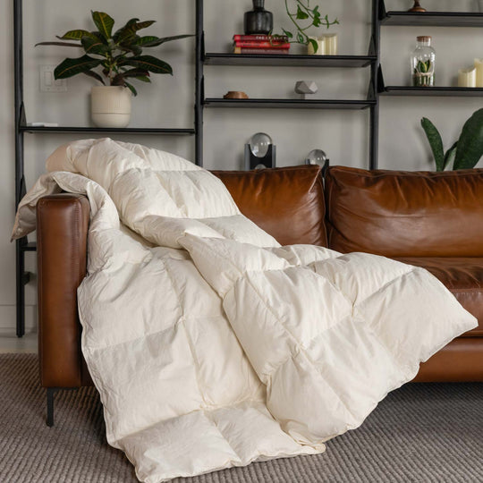 Feathered Friends Organic Down Throw Ivory white color draped over the side of a brown leather couch