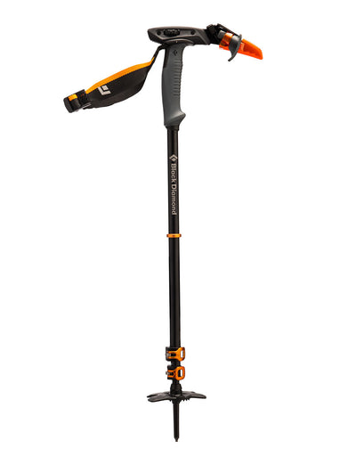 Whippet Ski Pole