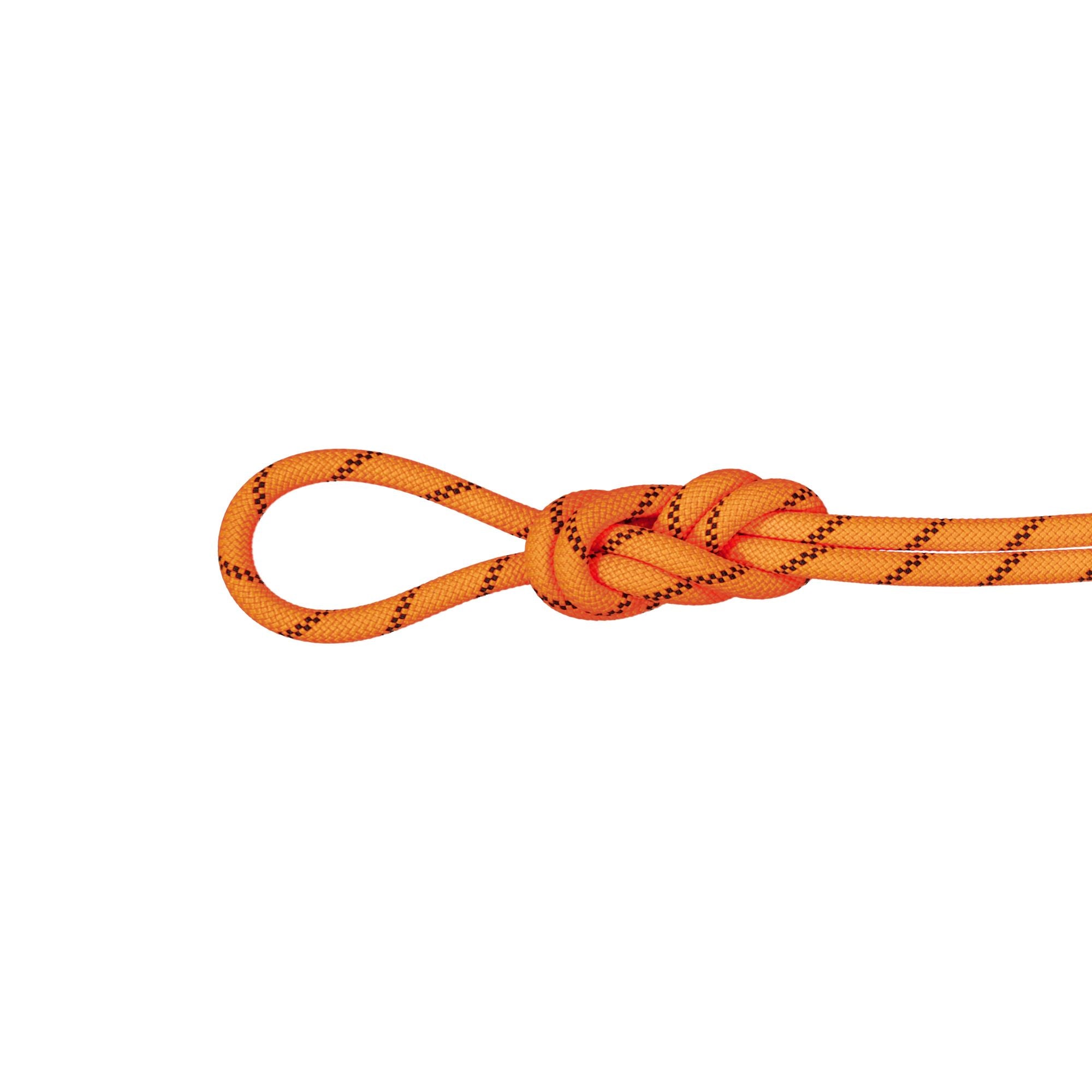 Mammut-8.7 Alpine Sender Dry Rope-Climbing Ropes-